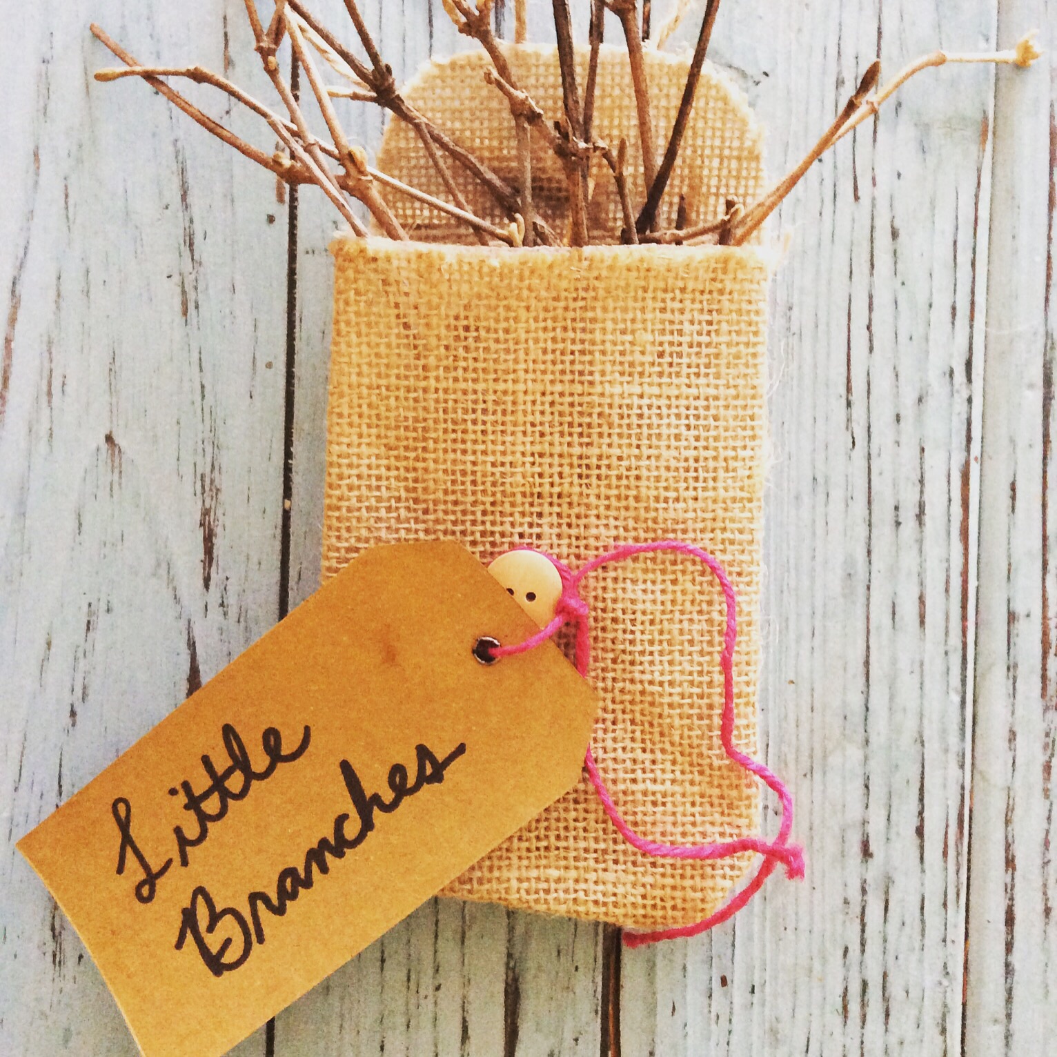 Little Branches's Photo