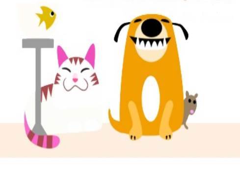PETacular Pet Services, LLC's Photo