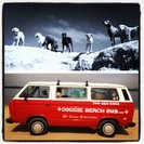 Doggie Beach Bus
