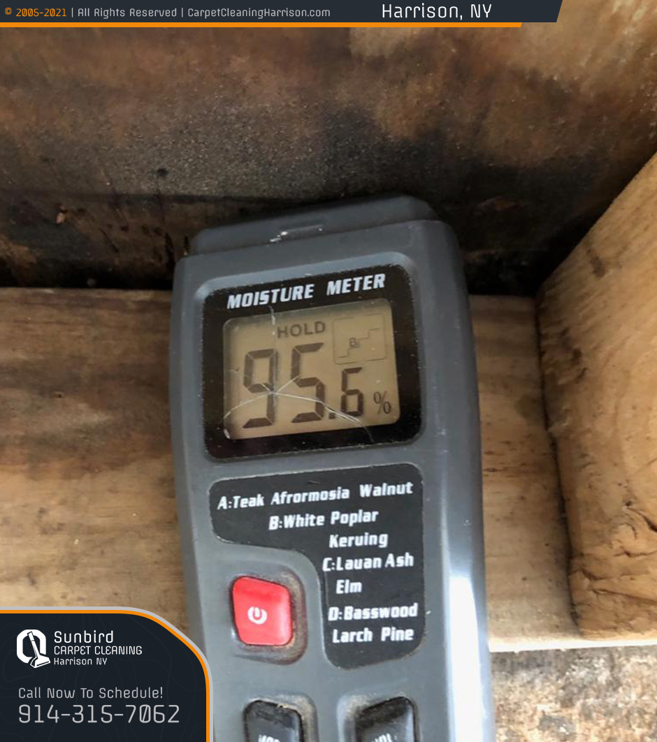 Sunbird Carpet Cleaning Harrison NY's Photo