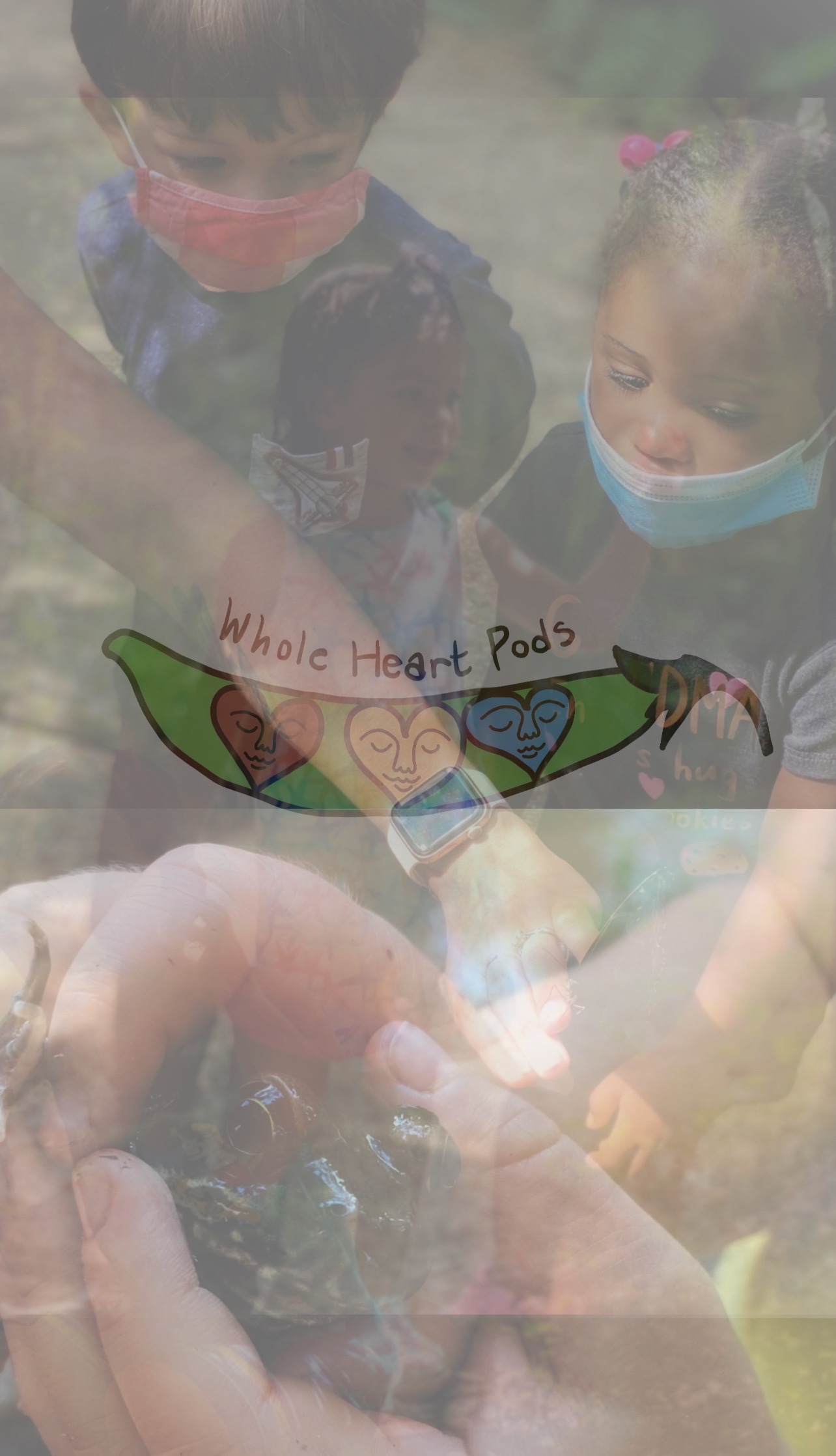 Whole Heart Pods's Photo