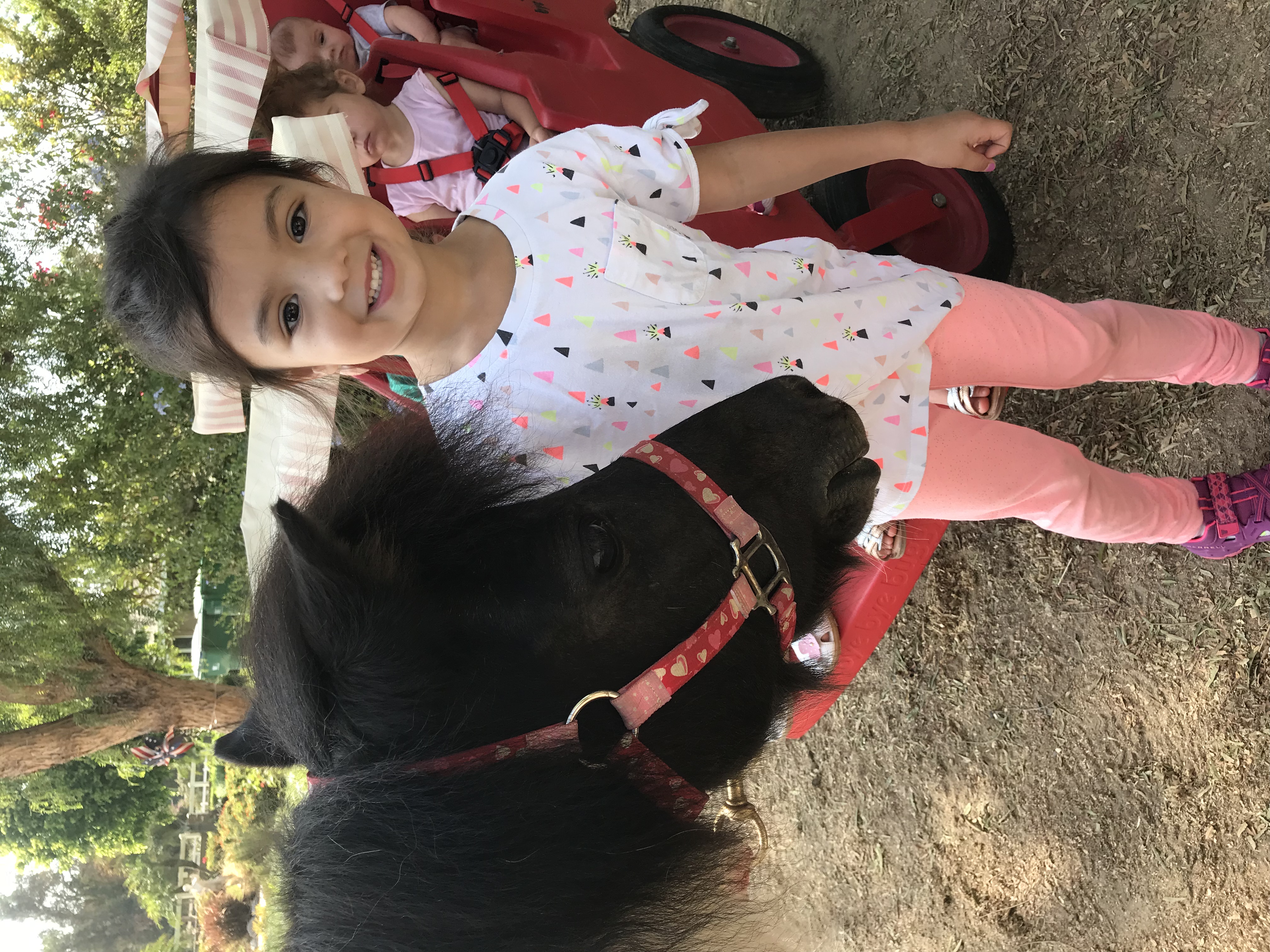 Santiago Children's Center's Photo