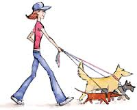 Laura's Pet Services's Photo