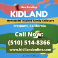 Kidland
