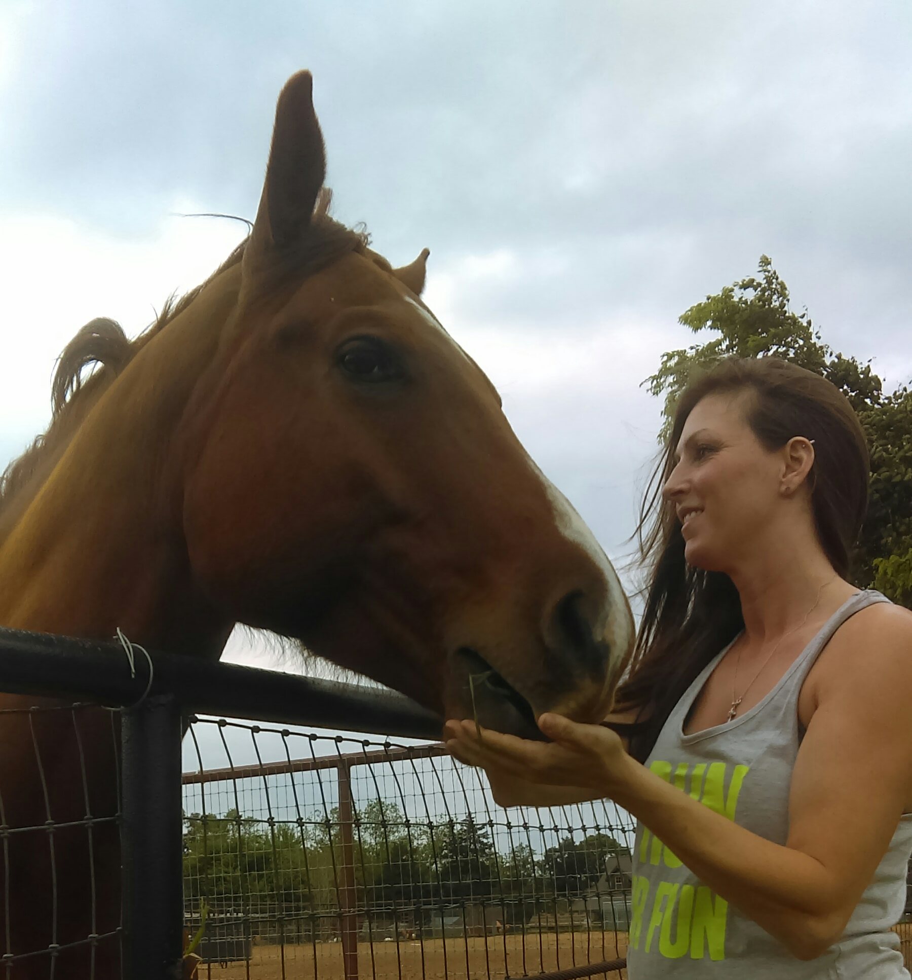 Southern Belle Pet Care's Photo