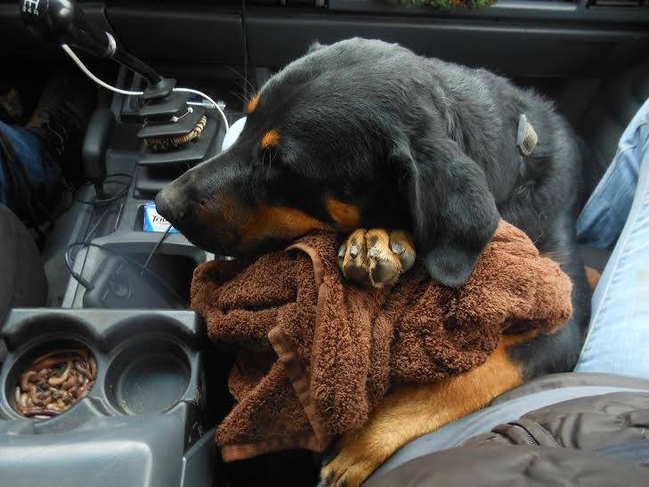 Smiles For Miles's Photo