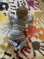 Brandi's Busy Bees's Photo