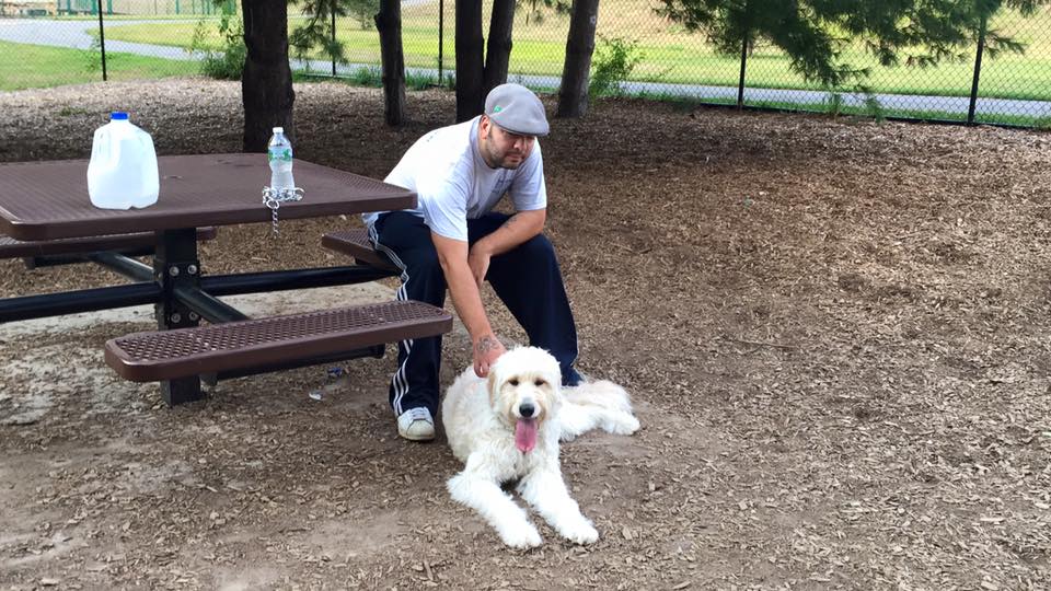 MBF Pet Services's Photo