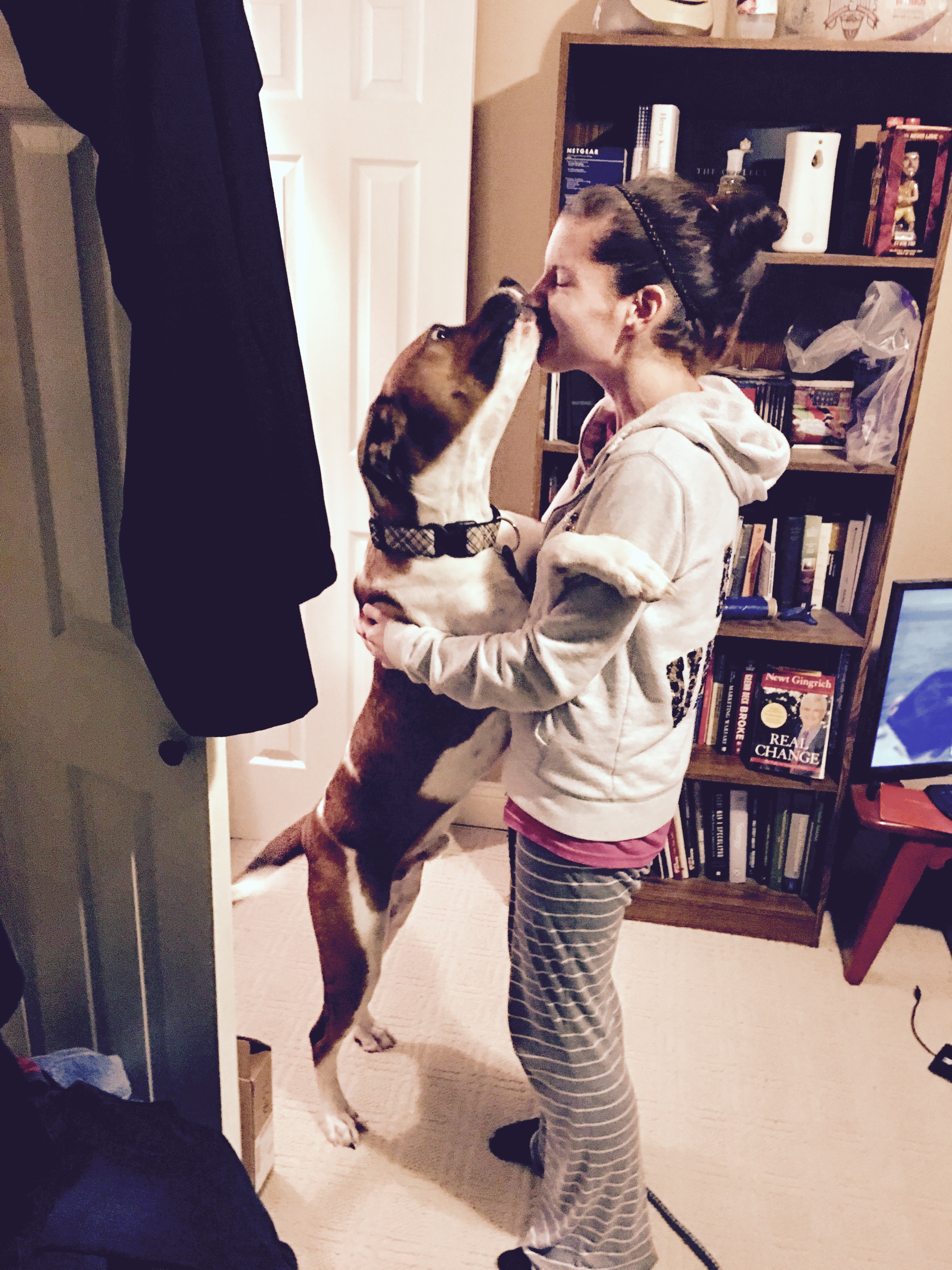 PetPals Dog Walking and Pet Sitting's Photo