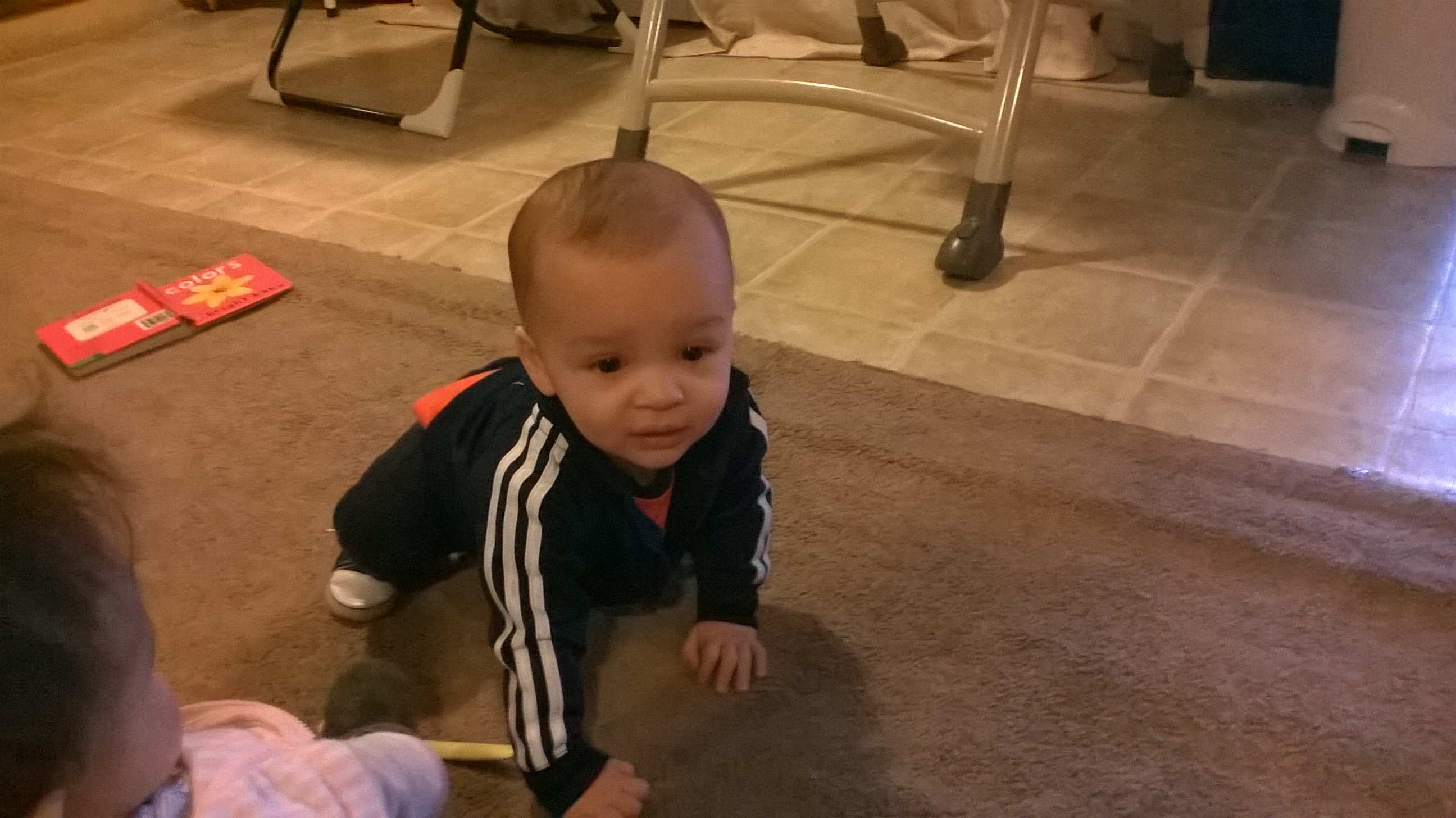 Little Cupcakes Family Daycare's Photo