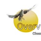 Overview Cleaning Services, LLC