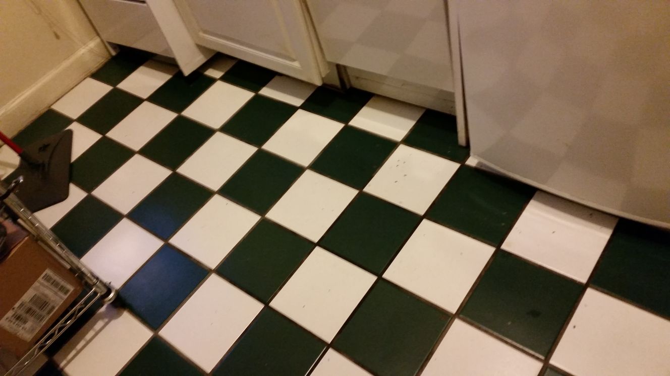 Anny cleaning's Photo