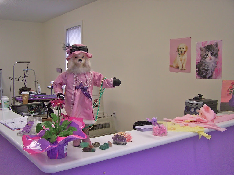 The Dog House's Photo