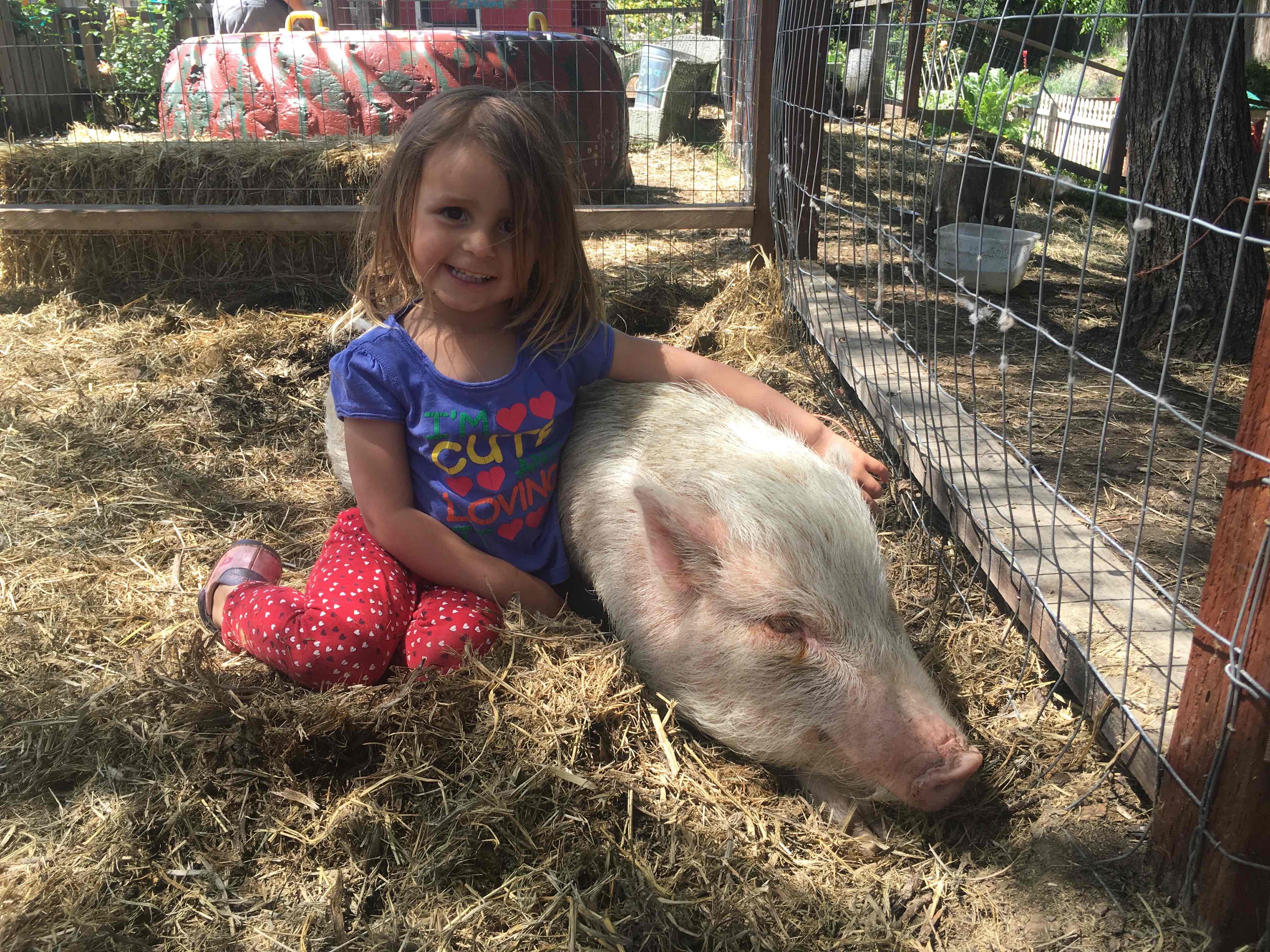 Country Kids Child Care's Photo