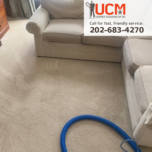 UCM Carpet Cleaning of DC's Photo