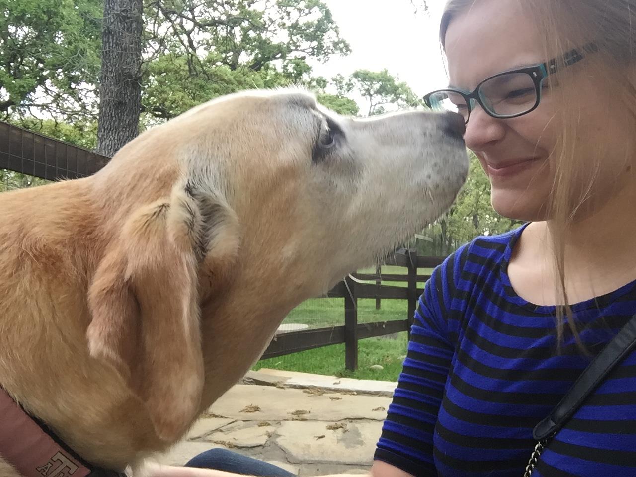 Cassie's Canine Care's Photo