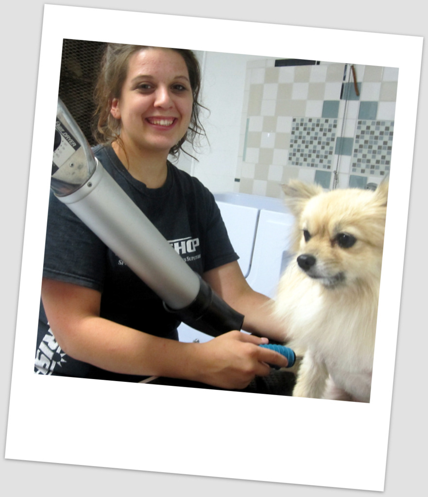 Cowdog and Sassy Cat Pet Salon's Photo