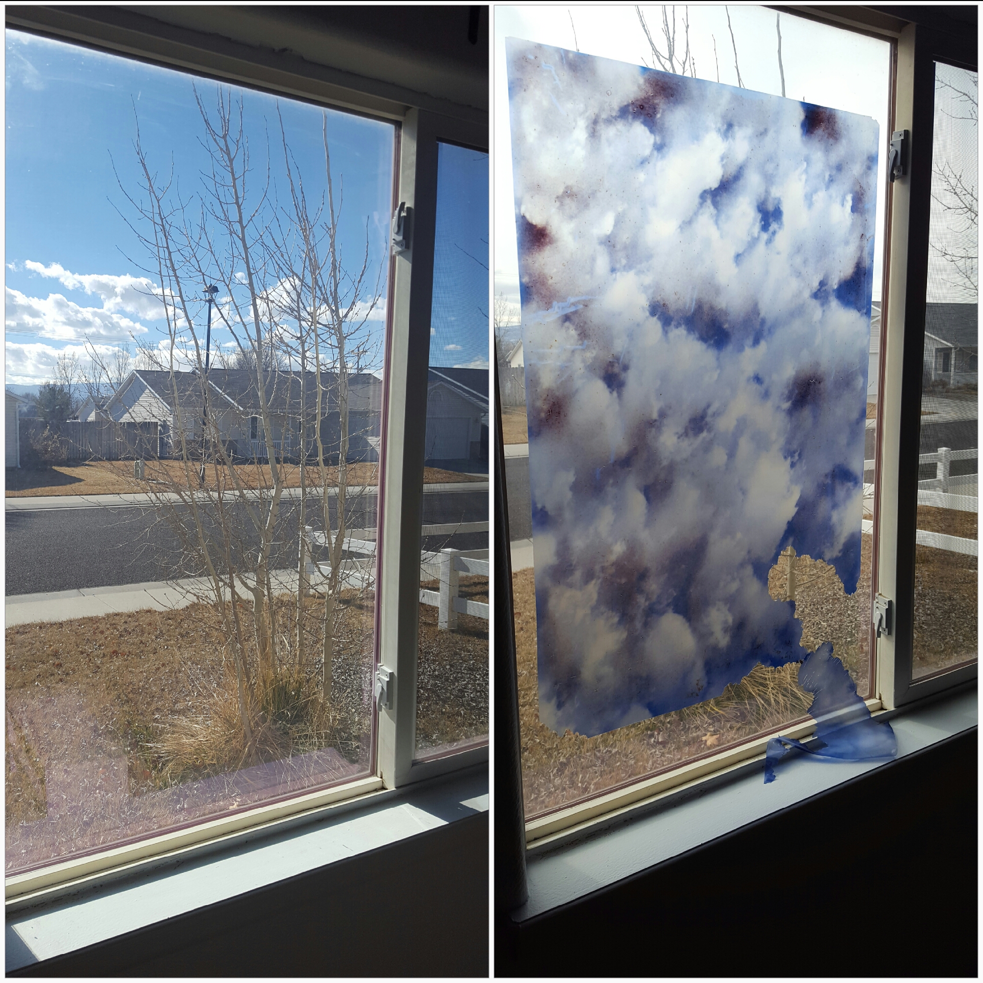 Scrub-a-Dub-Dub Cleaning Service LLC's Photo