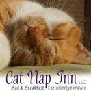 Cat Nap Inn