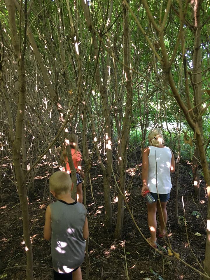 Dani's Nature Camp's Photo