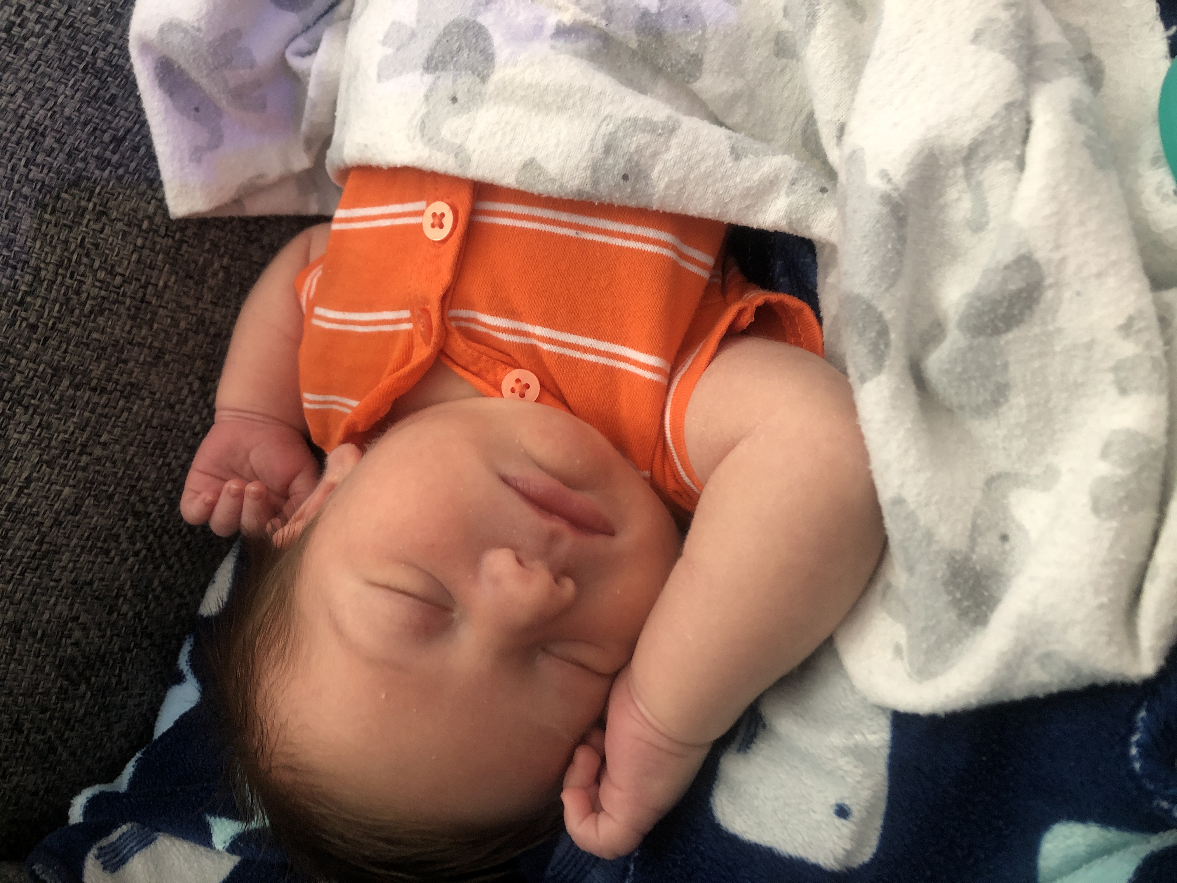 Lincoln Log's Childcare's Photo