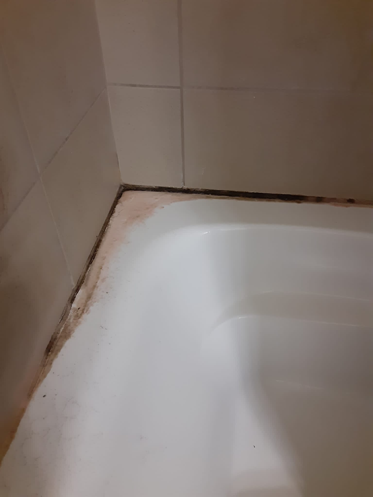 Dream Clean Facility Management LLP's Photo