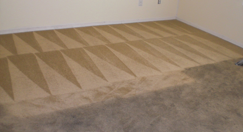 Fresh Start Carpet Cleaning's Photo