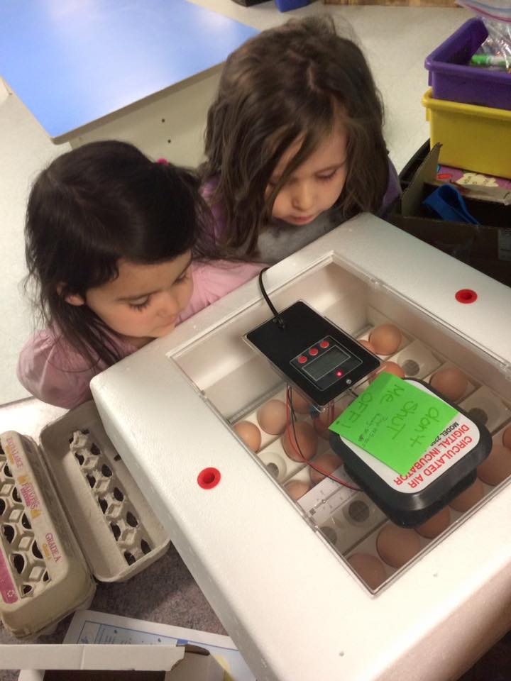 Stepping Stones Early Learning Center INC's Photo