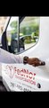 FedNor Transportation, LLC.