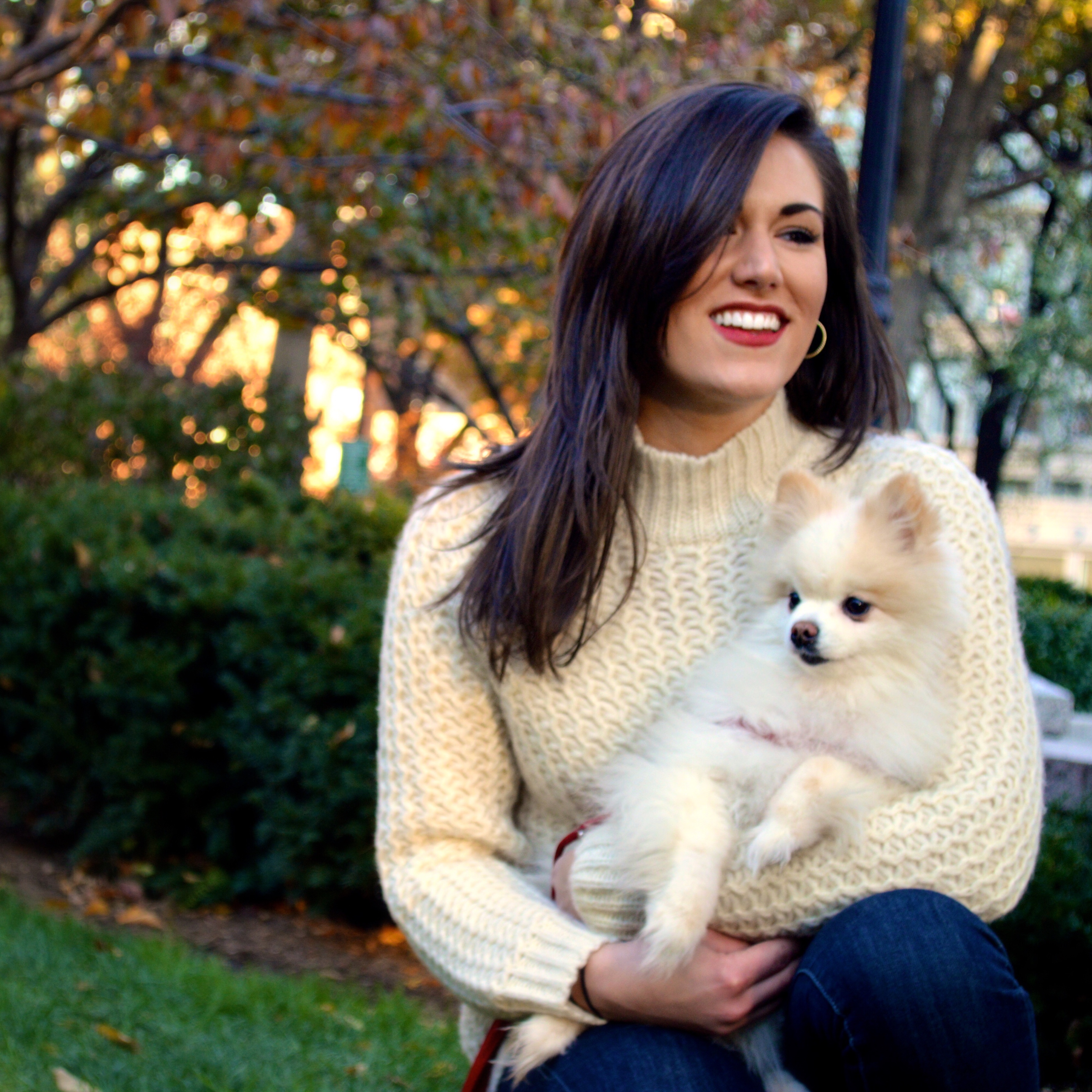 MixyPaws Dog Walking and Pet Sitting's Photo