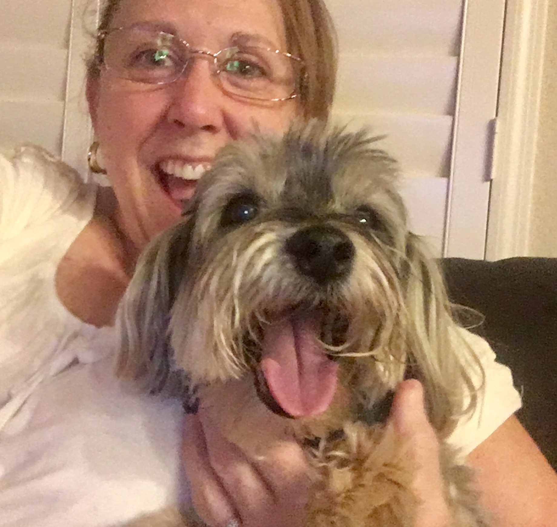 Ms. Sharon's Pet Sitting's Photo