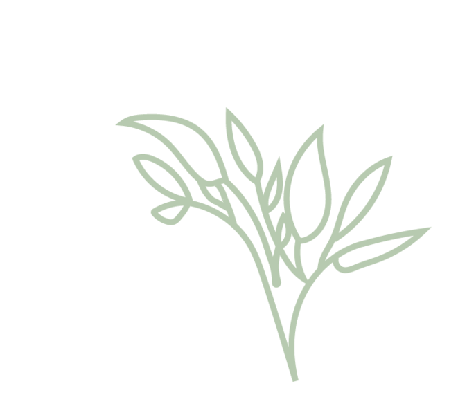 Sage Tutors Logo