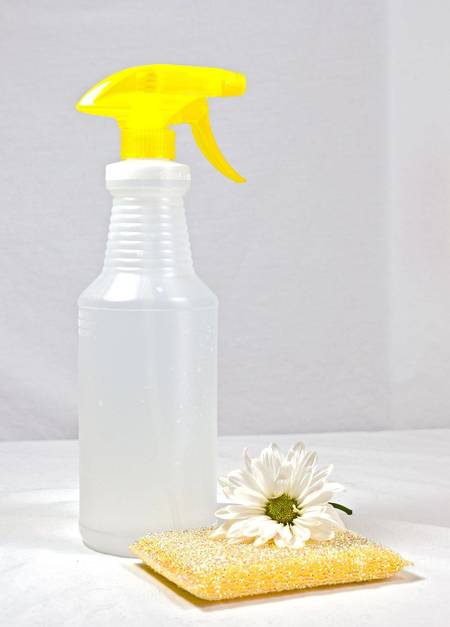 Tracey's Commercial Cleaning's Photo