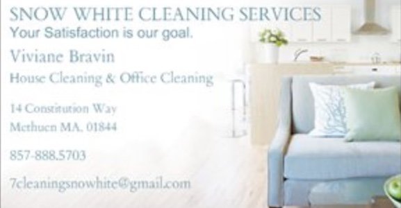 Snow White Cleaning Services Logo