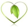 Little Sprouts Child Care's Photo