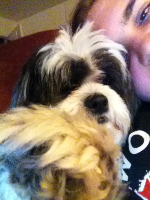 Lea's Pet Sitters and Dog Walkers's Photo