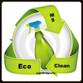 Ms. Eco Clean, LLC