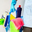 Lumiere Cleaning Services