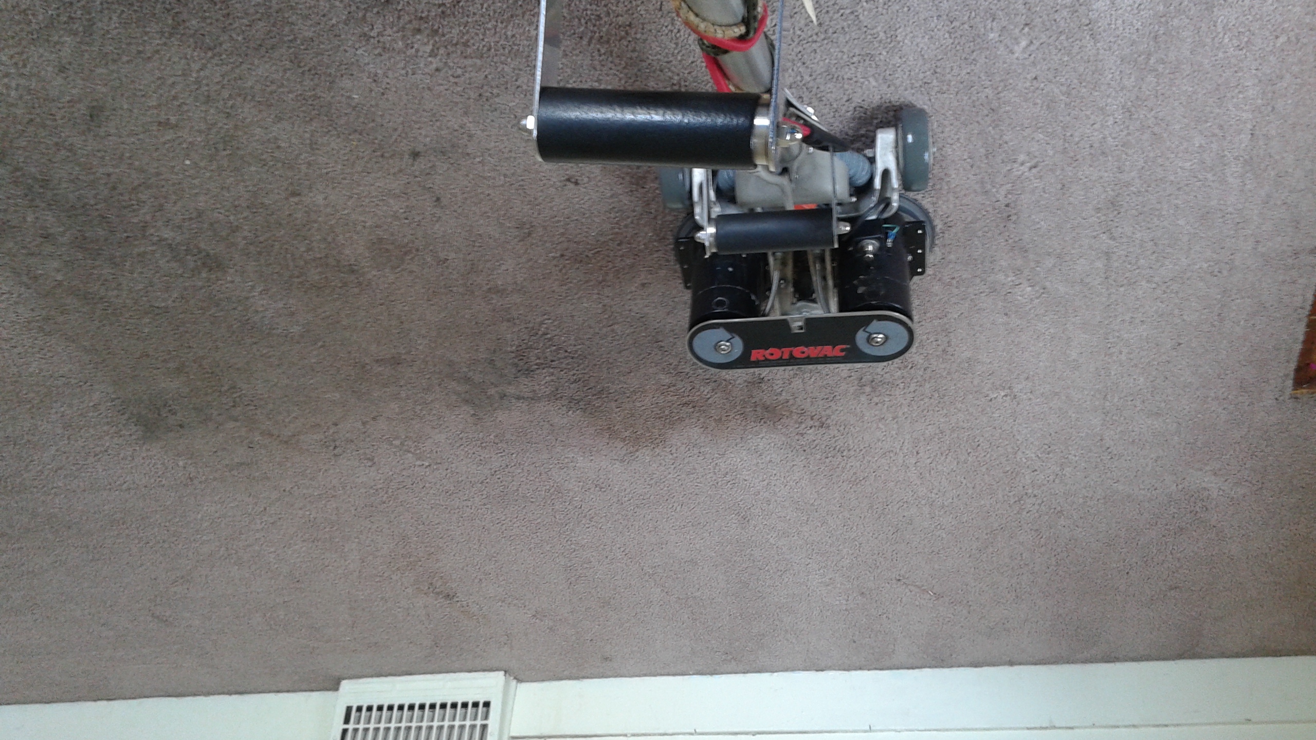Roto Carpet Cleaning's Photo