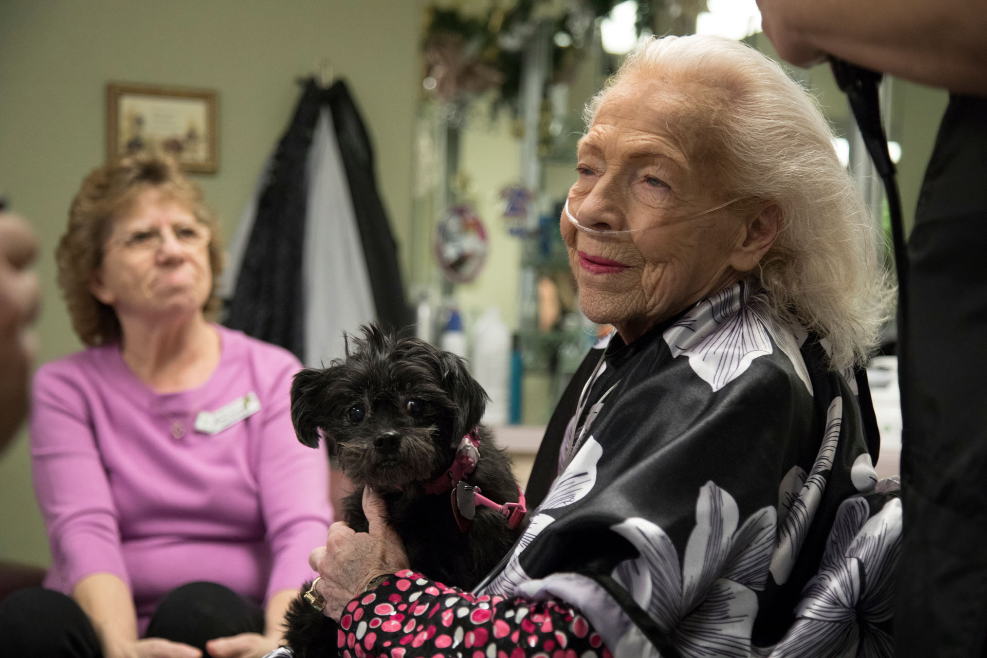 Photo gallery image - 4