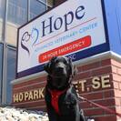 Hope Advanced Veterinary Center
