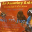 Amazing Animals Grooming And Pet Store