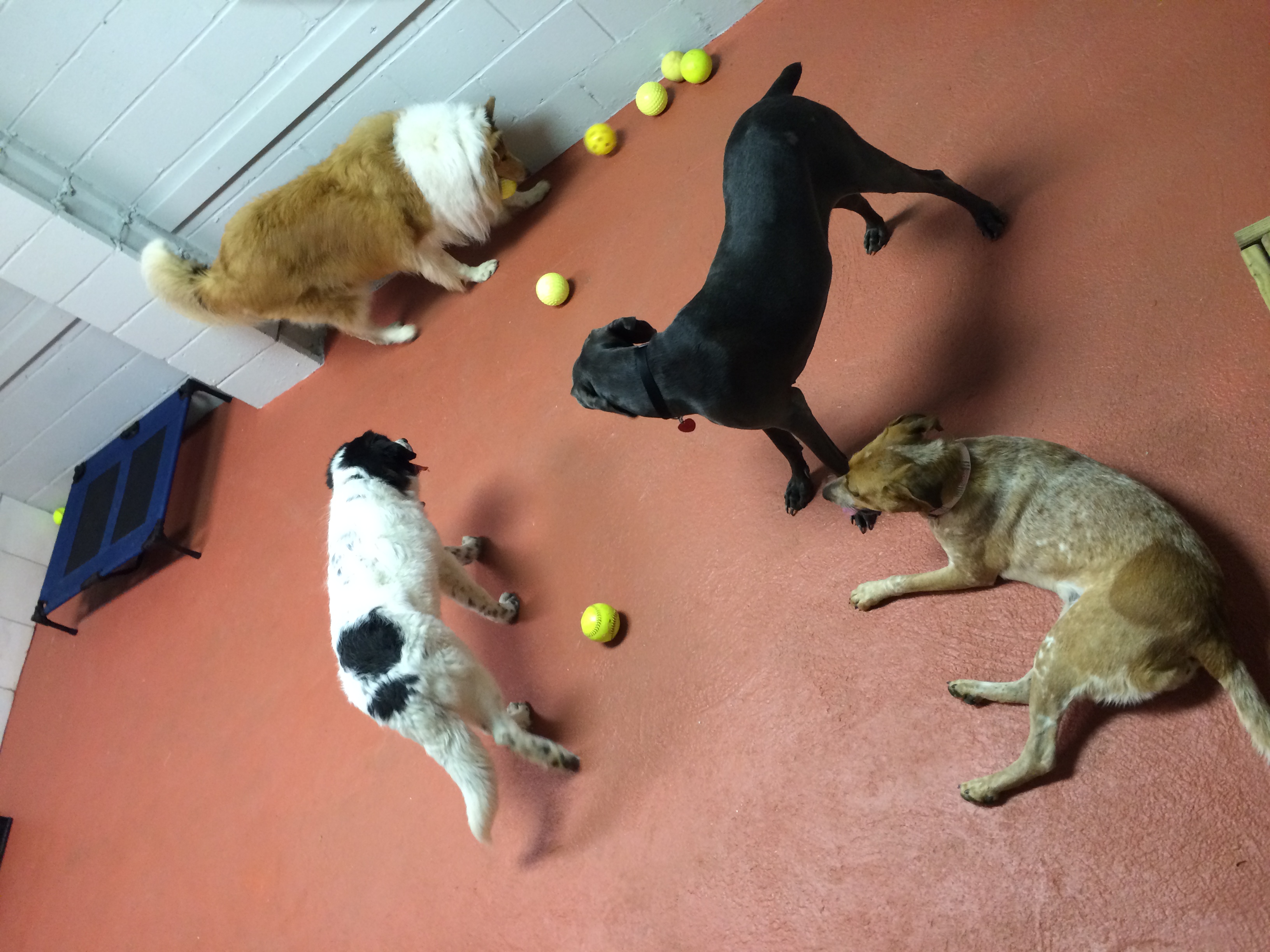 Little's Playhouse's Photo