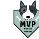 MVP Doggie Fitness