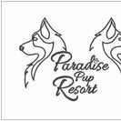 Paradise Pup Resort