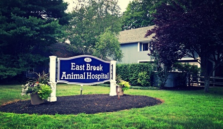 East Brook Animal Hospital's Photo