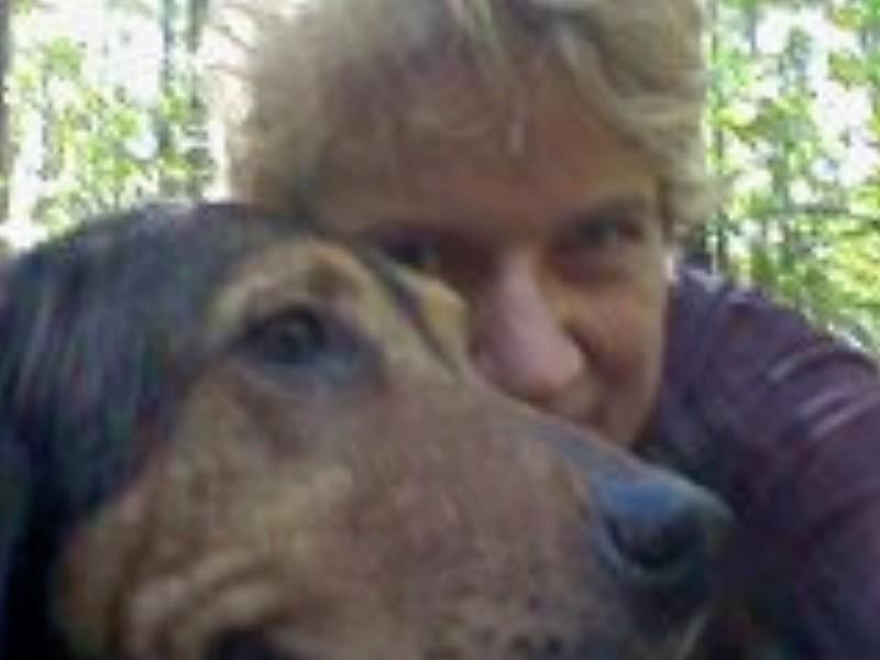 Carol's Critter Care Pet Sitting's Photo