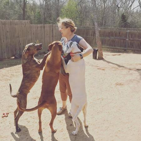 Woof Works - Your Pet Concierge's Photo