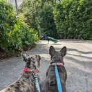 Fetch! Pet Care of South Miami