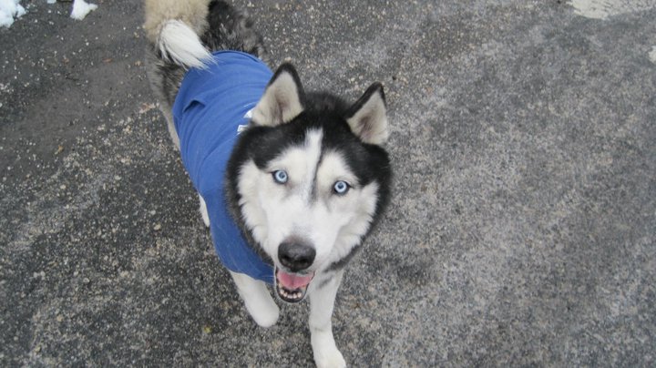 Blue's Haven's Photo